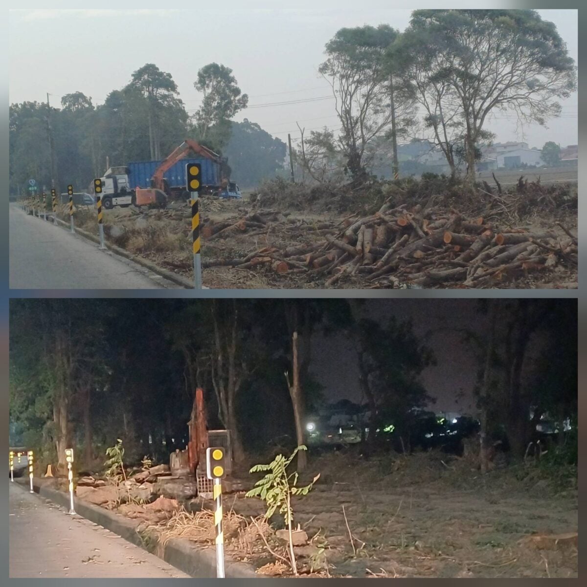 塑膠停工令？年吸碳933噸旗山環保林園爆砍樹爭議　昨喊停工今復工地方質疑