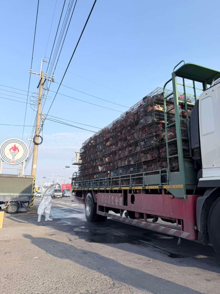 雲林縣跨單位強力攔檢運禽車　嚴防禽流感守護公共衛生