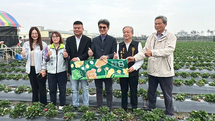 ▲褒忠鄉「魚菜共生」草莓進軍超商，劉建國：政府應積極協助擴大產能。(記者劉峻文攝)