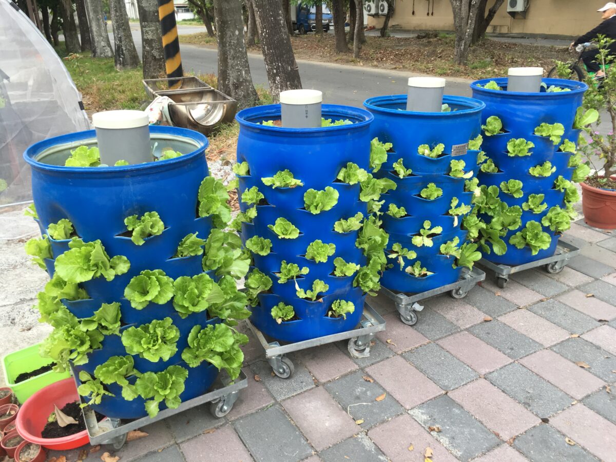 ▲高雄市社區低碳措施補助計畫包含四大項目,社區農園、蚓菜共生亦可為社區減碳。