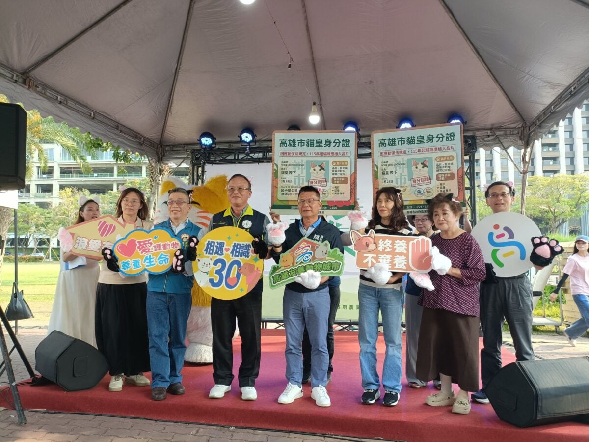 喵星人升格有證！高雄宣布貓咪登記元年　神農市集吸爆人潮