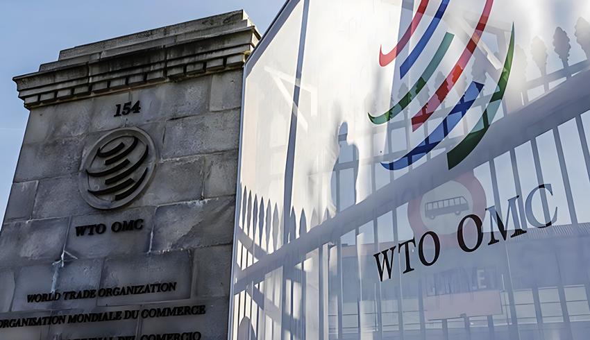 以後台灣還去不去WTO？／何溢誠