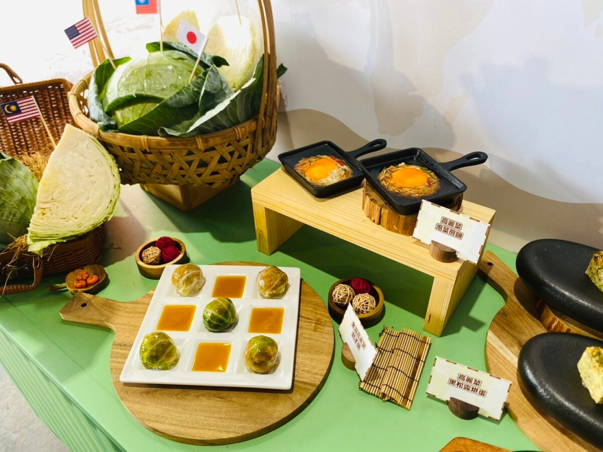 冷冬助攻品質升級　雲林高麗菜外銷版圖擴展七國