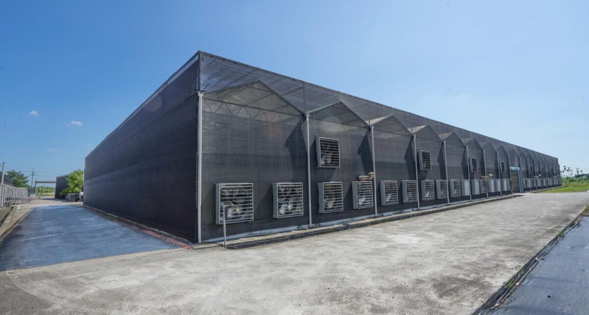 台灣蝴蝶蘭供應鏈升級　甘琳農業擴產招募專業人才