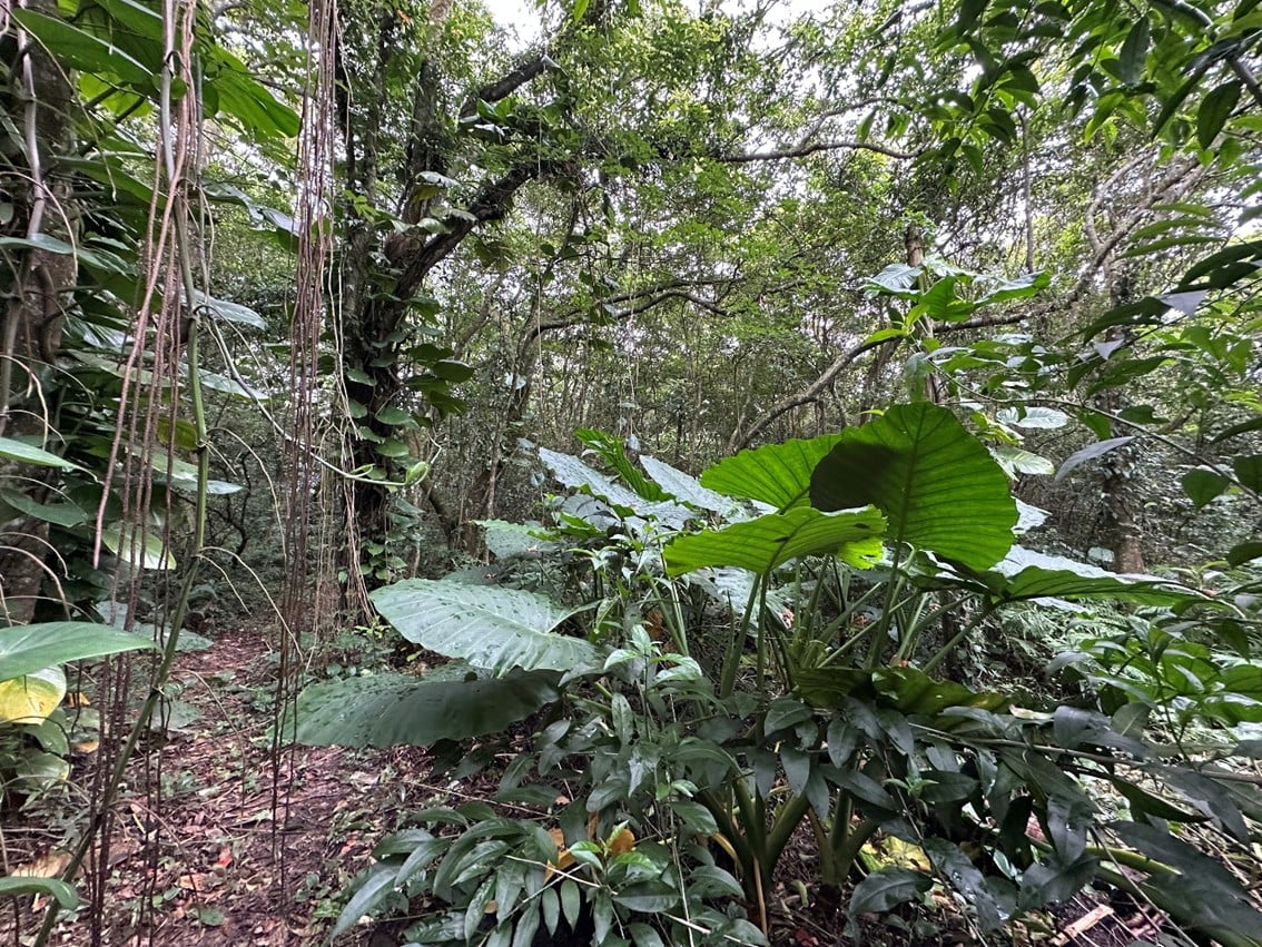 新竹分署14處「保育共生地」橫跨桃竹苗　與各方夥伴共同打造台灣西北部生態避風港