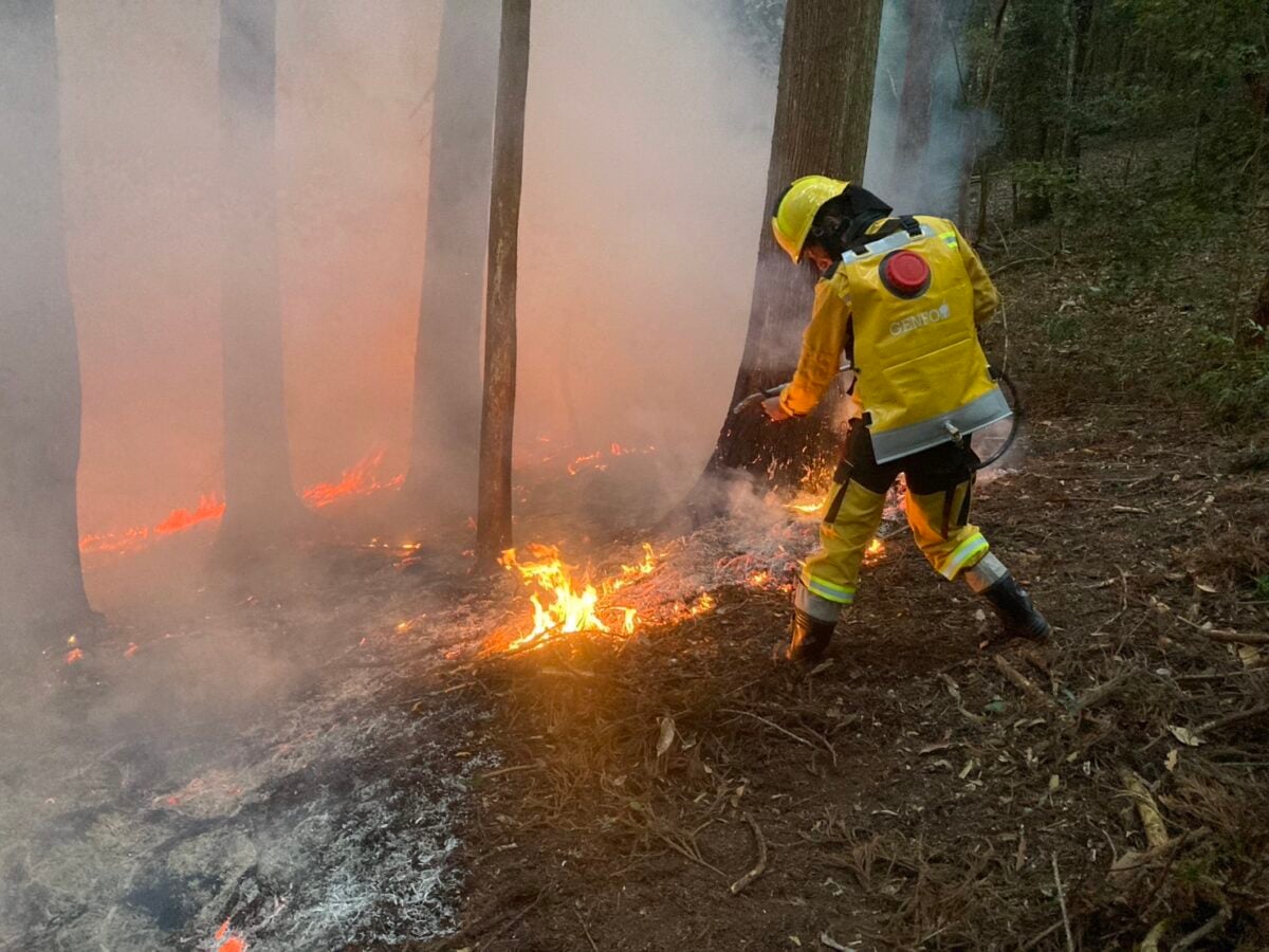 春雨偏少林火風險升　入山嚴禁引火違者最高罰60萬