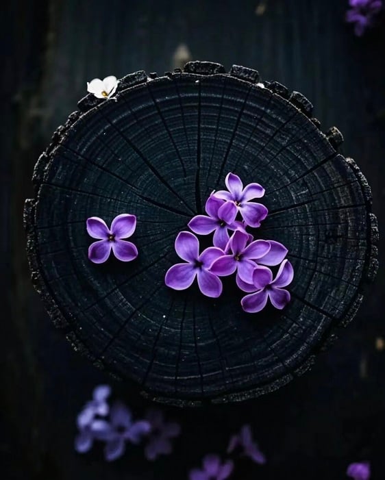 【王醫師專欄七】以痛苦為名，就真的痛苦嗎？／王昭文