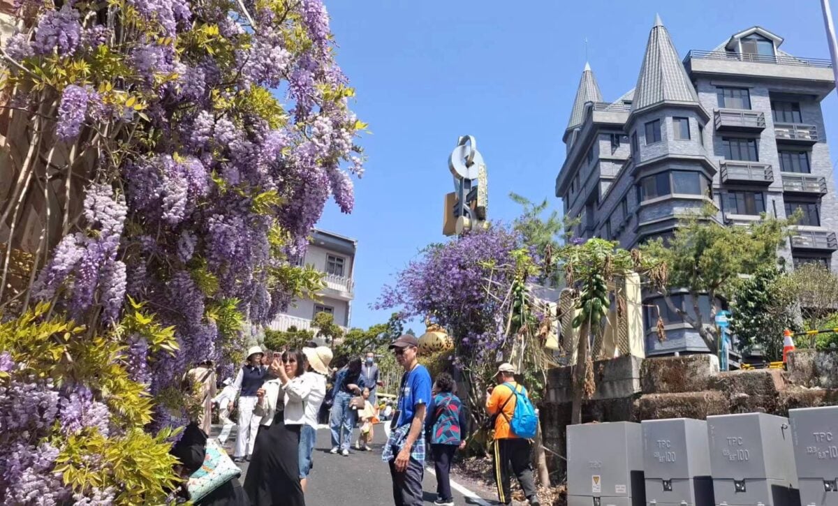 瑞里紫色山城紫藤花已盛開接著四月螢火蟲季　春遊最佳旅程