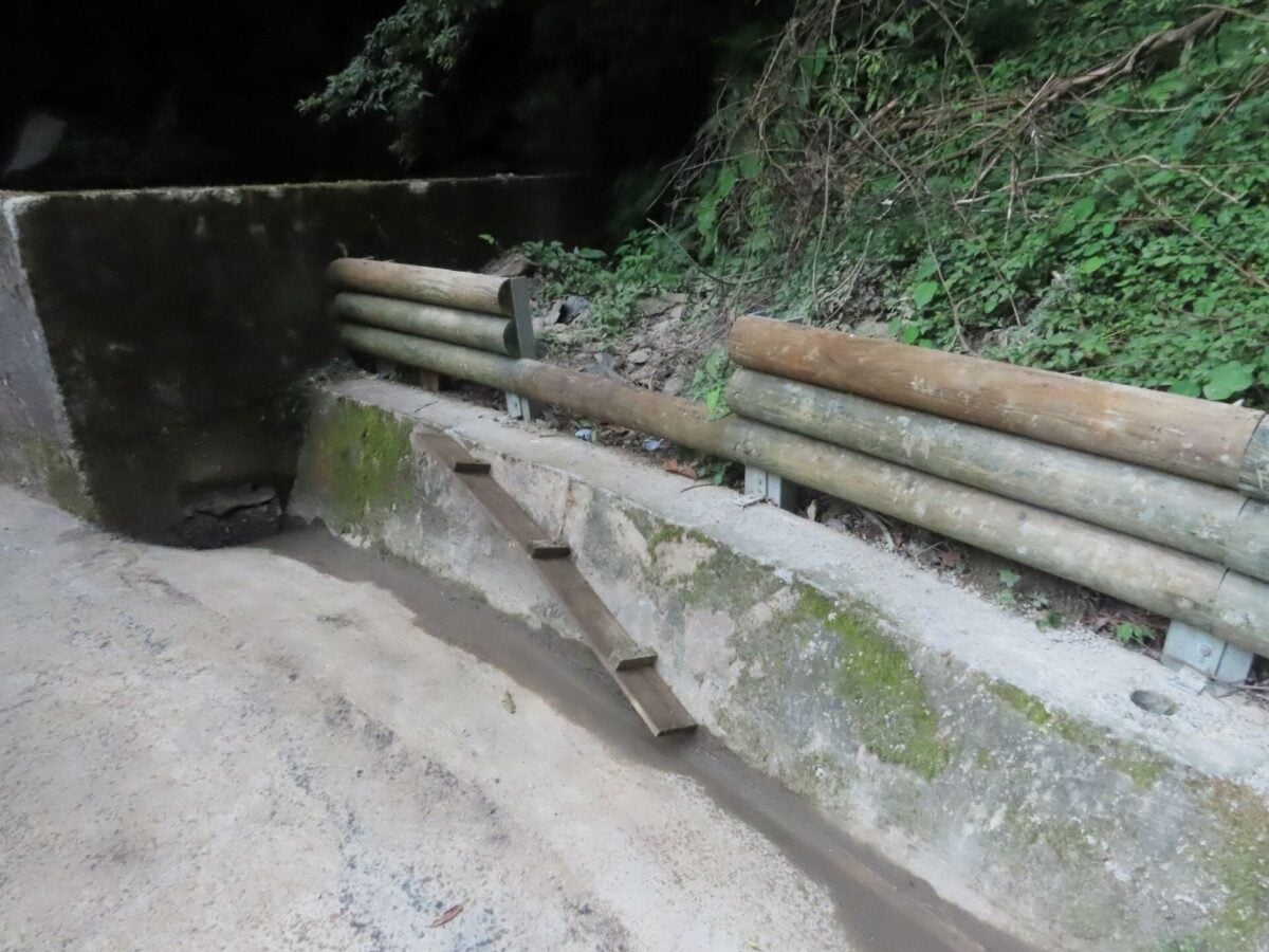 雲霧森林裡生態巧思！拉拉山林道治理打造客製化動物V.I.P.通道
