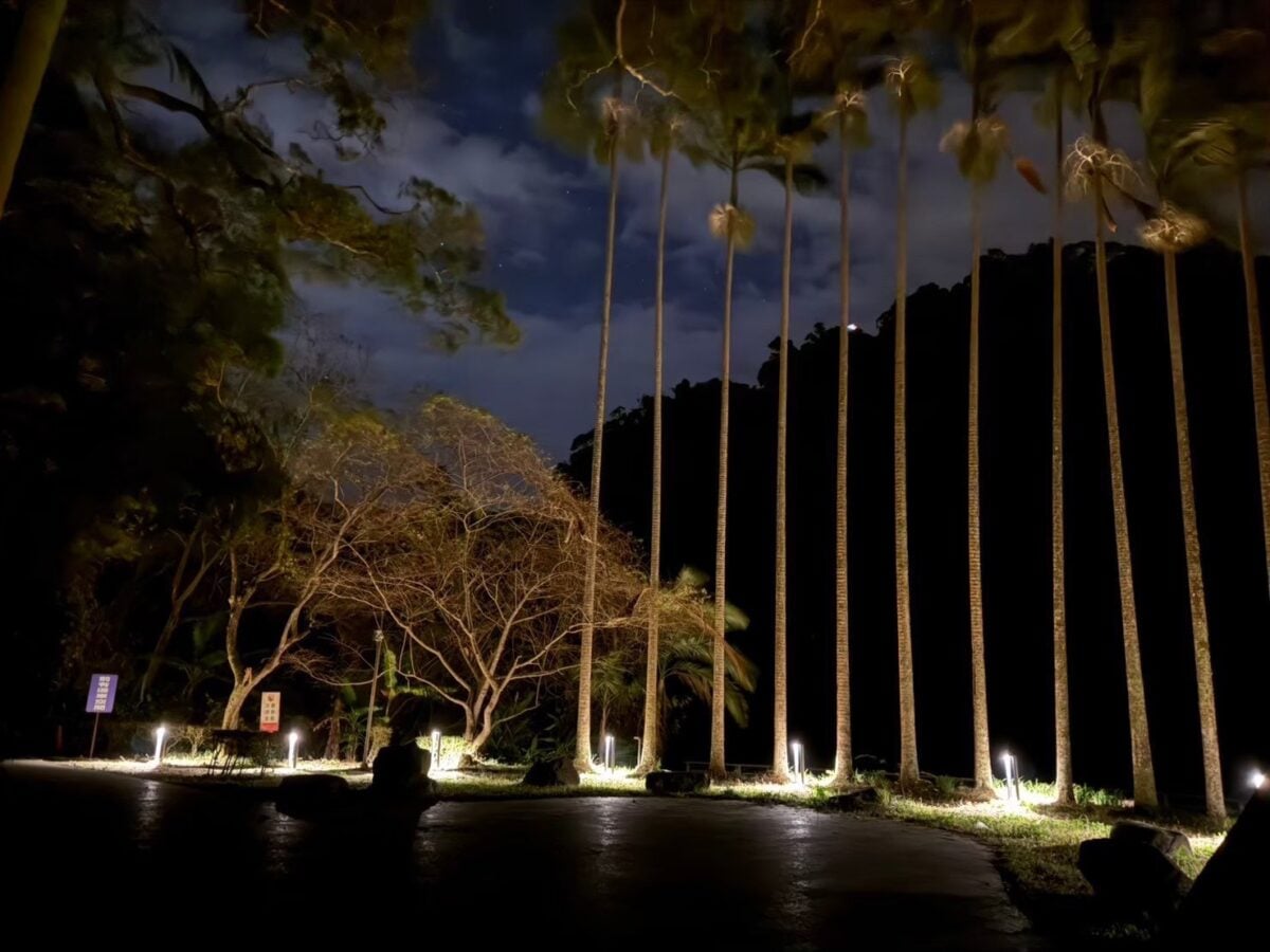 解封1960時空密碼！後慈湖4/22試營運， 4月9日起開放預約