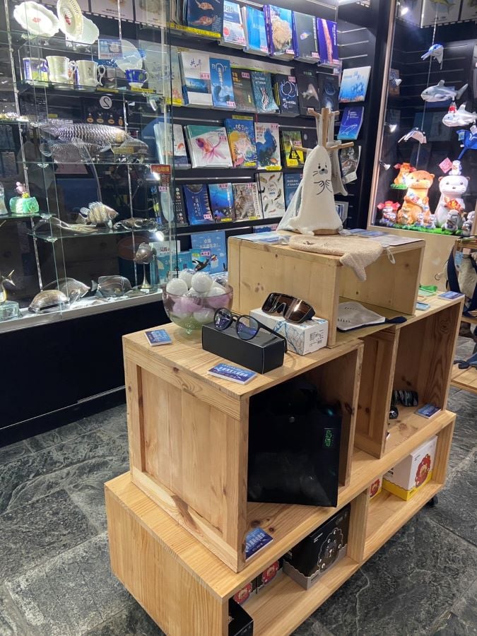 與海重逢的那一天：「SEA YOU」巡迴展　海生館感動再現