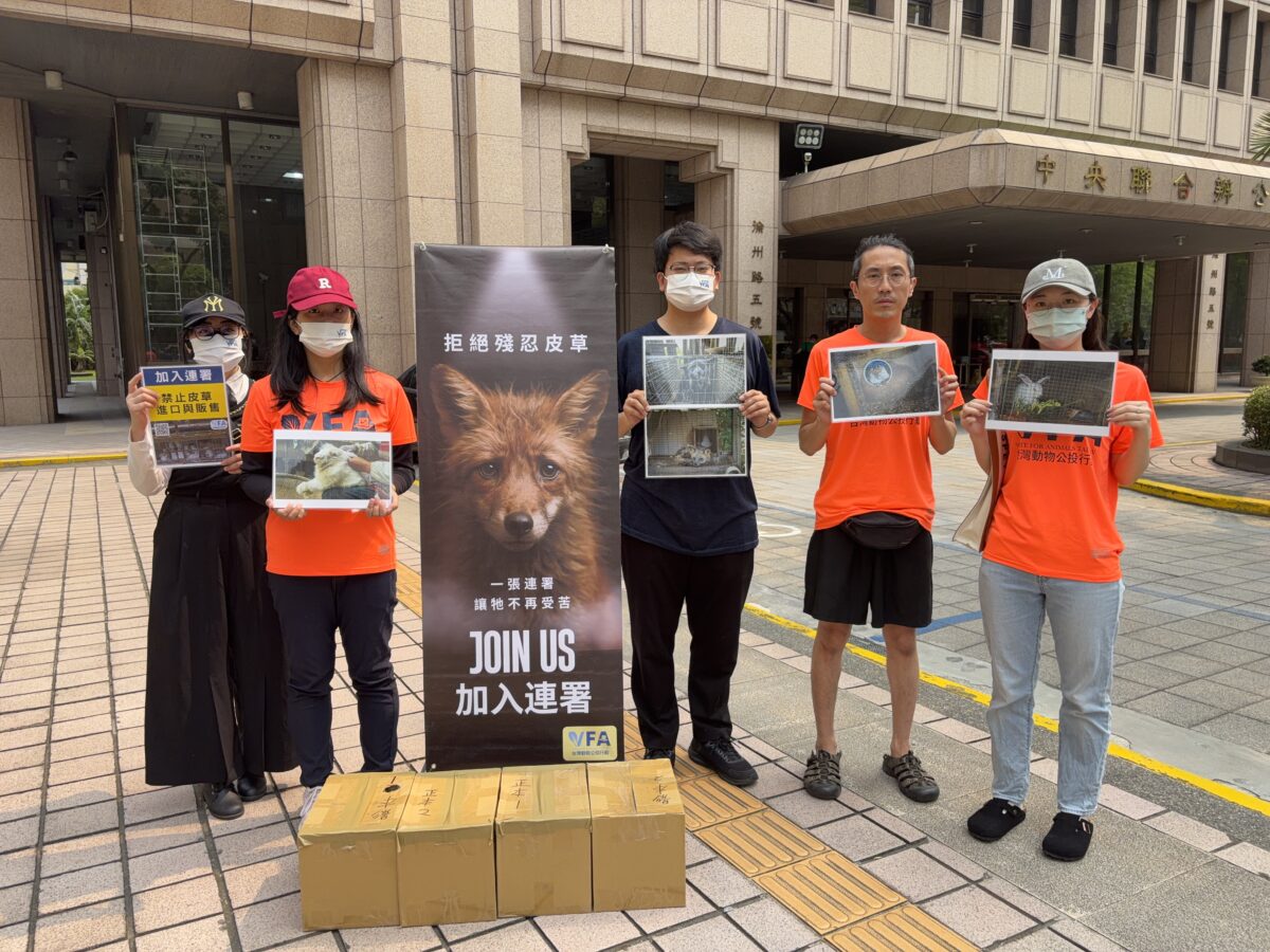 動團送件中選會　2600份公投連署推動零皮草政策