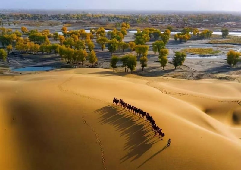 【觀點】從治沙到控水：新疆工程如何重構國家空間／魯云湘