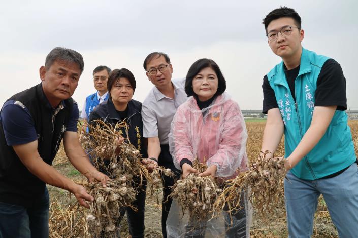 乾旱及暖冬致蒜球偏小產量銳減　張麗善呼籲中央免勘查救助