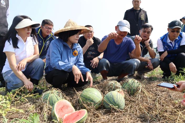 二崙西瓜4月初豪雨災損　雲縣府會勘建請中央救助