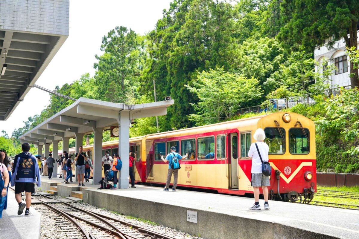 阿里山療癒慢旅　老宅鍋物、茶園與螢光夜景串聯山林風貌