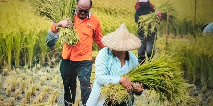 台灣門戶洞開　本土農產受威脅形同滅農／何溢誠