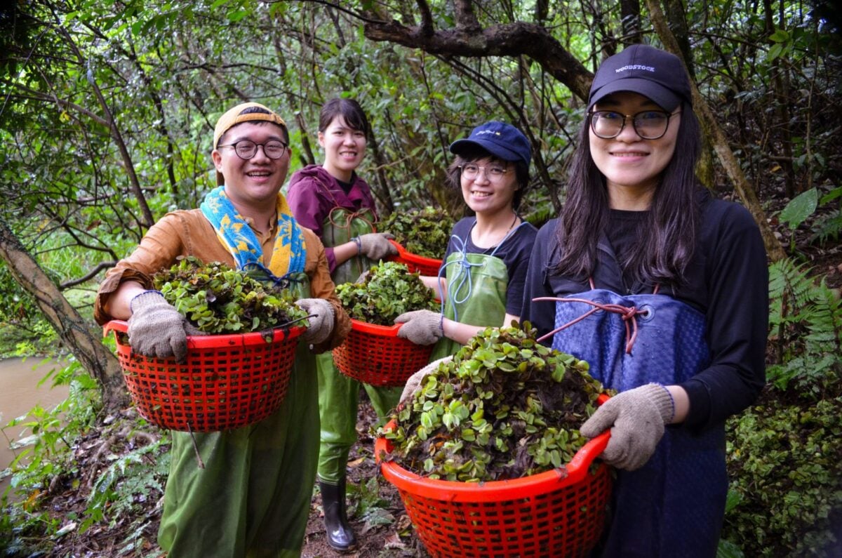 島內散步「ESG 處方箋」議題整合服務　開創企業 S 社會影響力新路徑