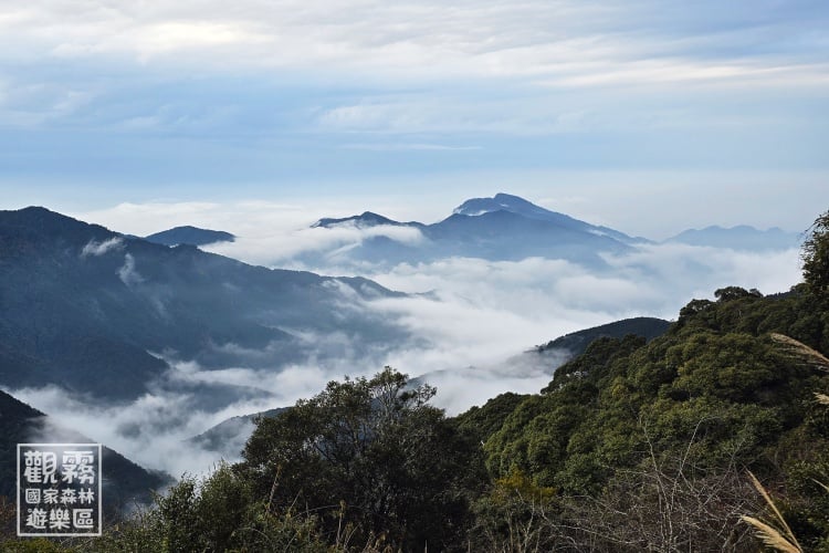 走入觀霧森林　以弓藝之道體驗泰雅族山林智慧