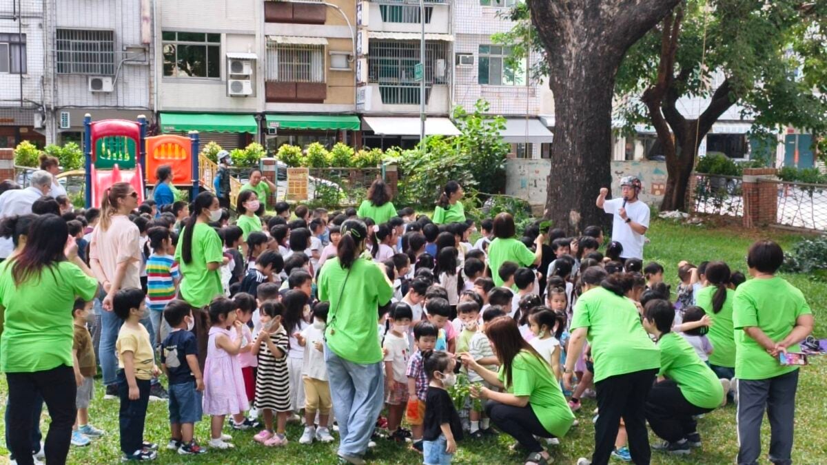 雨豆樹藏生態祕密！真美樹協會攀樹師高空友善修剪　幼童親見自然生命力