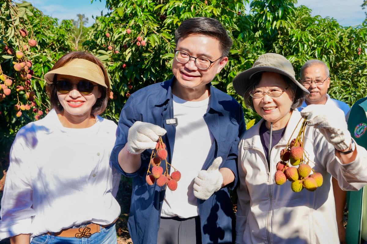 大樹玉荷包夯爆！蔡英文親自摘果、選果　賴瑞隆盼高雄農產走向國際