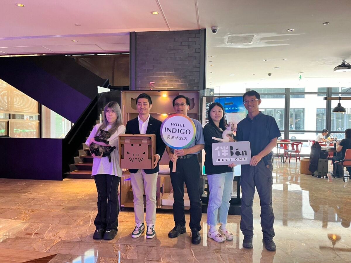 住飯店竟能遇見命定貓咪　高雄動保處X英迪格打造全台首創「旅貓相遇空間」