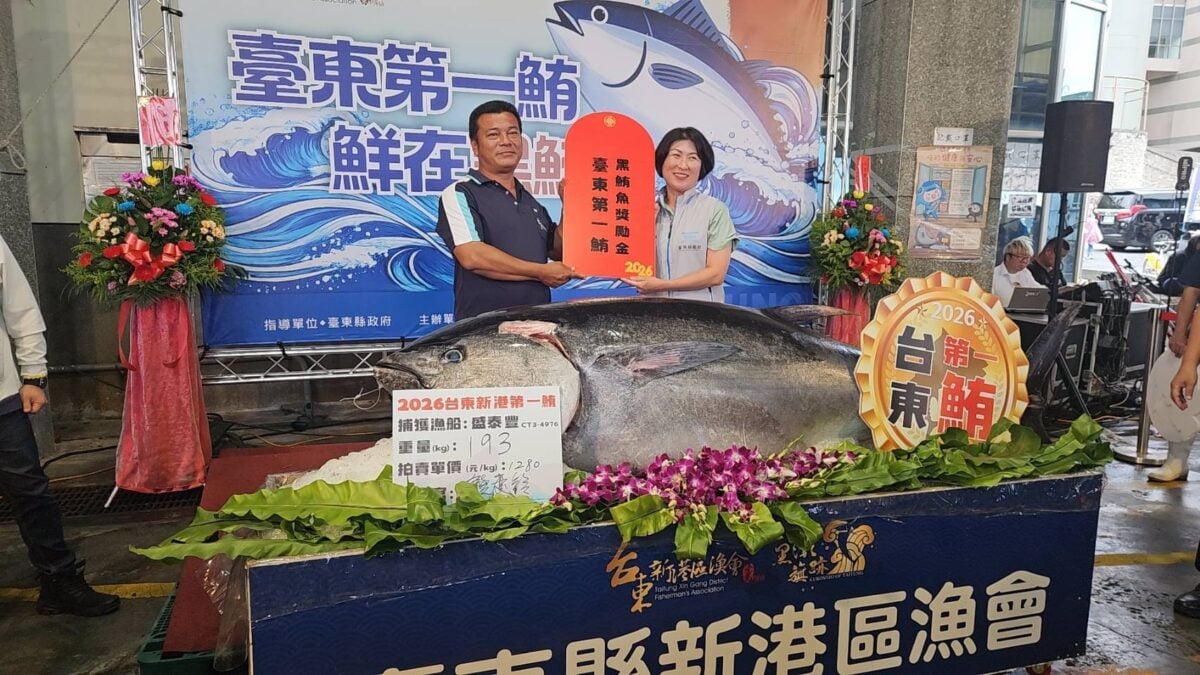 黑鮪魚季正式展開！臺東頒20萬獎金　饒慶鈴主持第一尾黑鮪魚拍賣