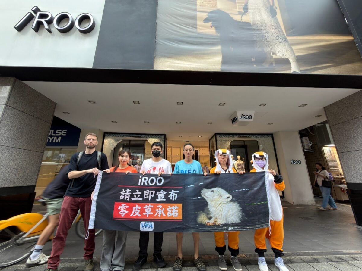 母親節上演狐狸尋母行動　VFA 呼籲 iROO 公開零皮草政策