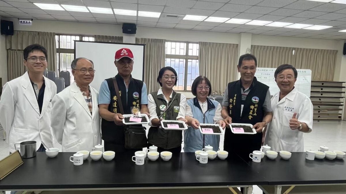 2026阿里山春季高海拔優良茶競賽　高帝園茶業繼去年冬季茶賽又蟬連特等獎及2個冠軍獎