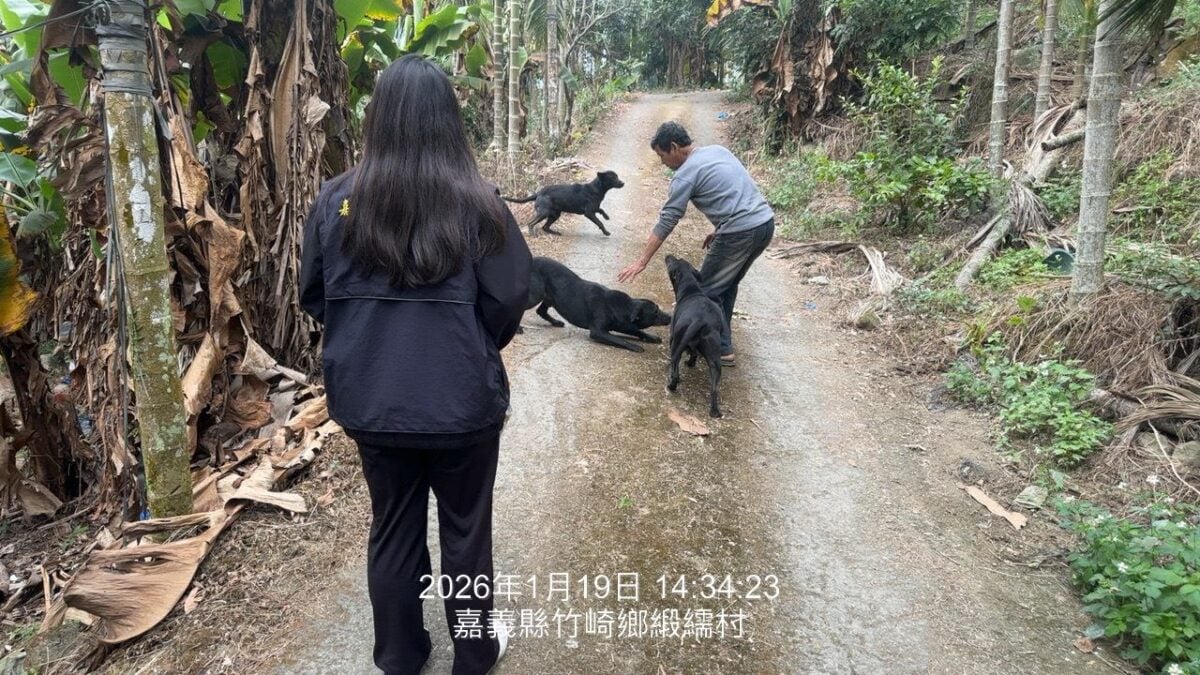 飼主放養犬隻肇事　遭重罰5萬3千元並移送法辦