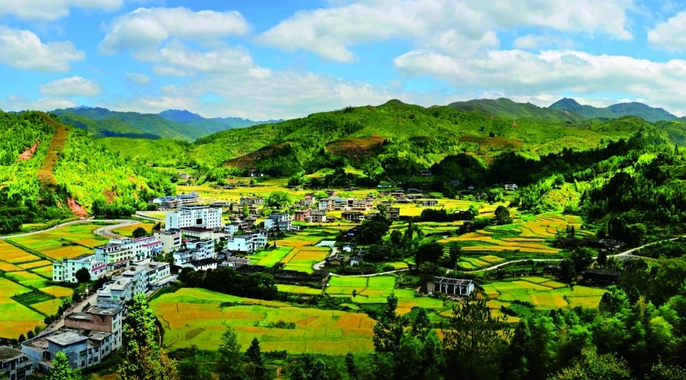 ▲第十八屆海峽論壇·宜居宜業和美鄉村發展論壇在寧德舉辦重點交流鄉村建設。