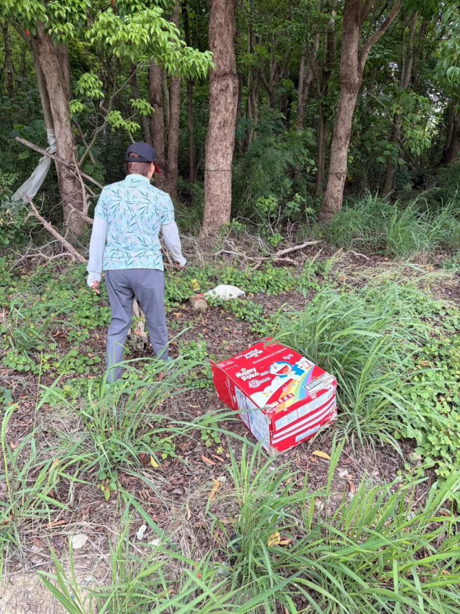 男子綑綁開光雞棄置養雞場前　涉虐待棄養罰4萬5千元