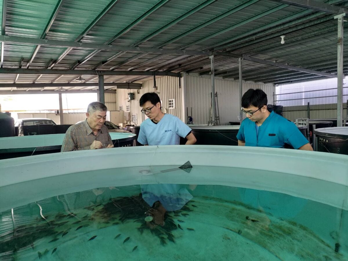 魚一生病怎麼辦？高雄魚病檢驗站一年守護逾2千件病例