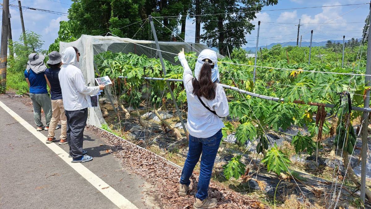 巴威強風重創農業設施　高雄美濃、杉林網室農損救助開跑