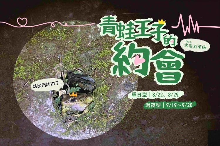 東眼山 x 大溪老茶廠 　來場品茶香、聽蛙鳴的「青蛙王子約會」