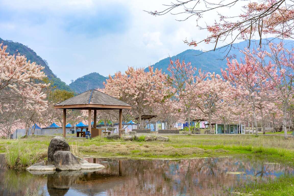 山林避暑去！六龜慢旅結合美食、美景、美人湯療癒身心