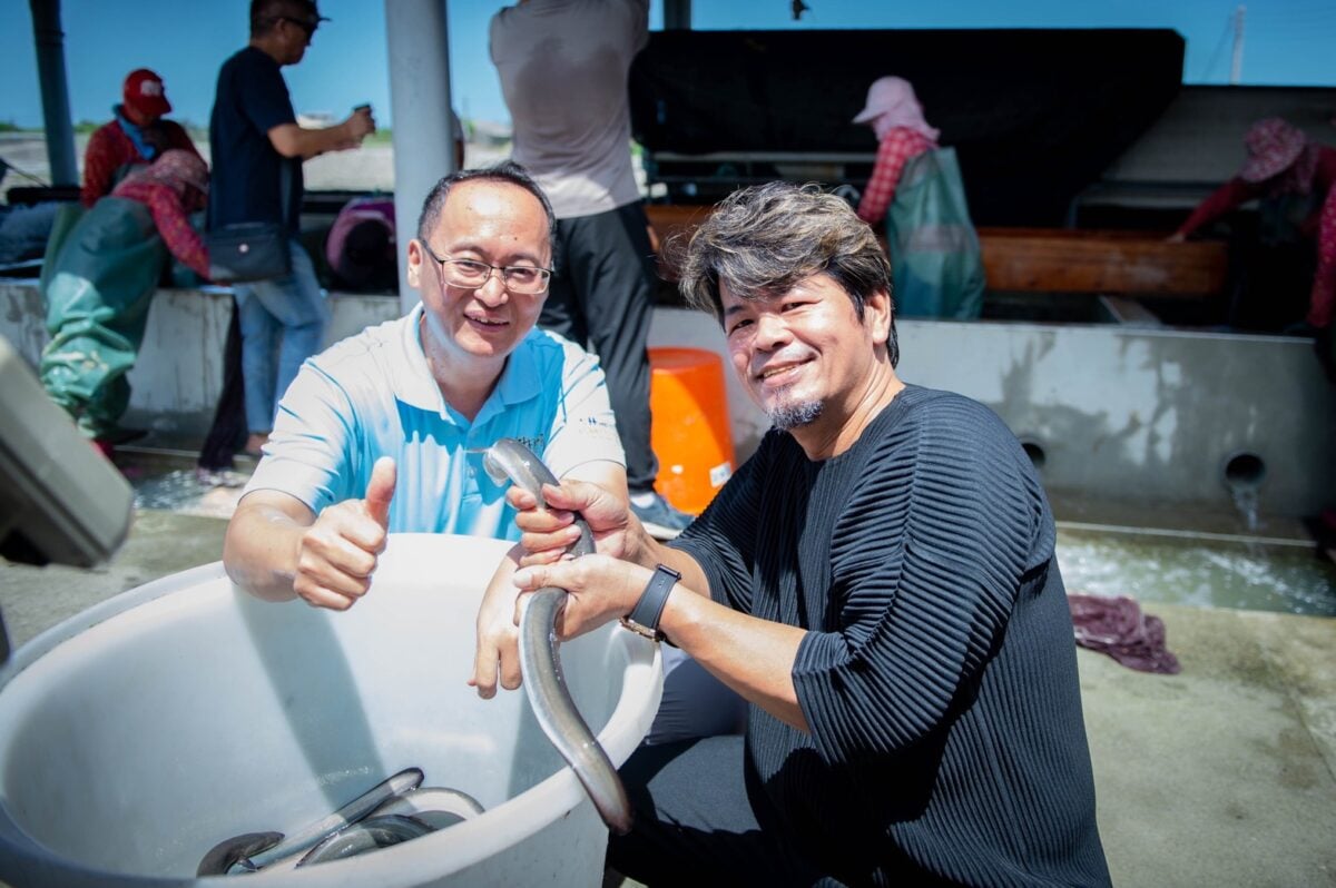 返鄉不是作秀！板前屋深入雲林養殖現場　豪買5噸鰻魚暖挺家鄉