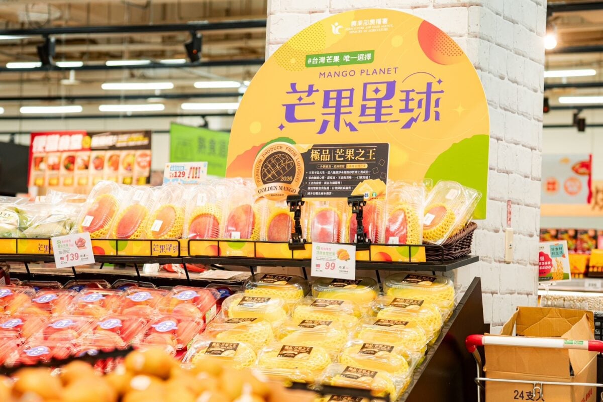 ▲外銷級六龜金煌芒果全臺302家通路開賣，高雄農業局邀民眾嚐鮮。