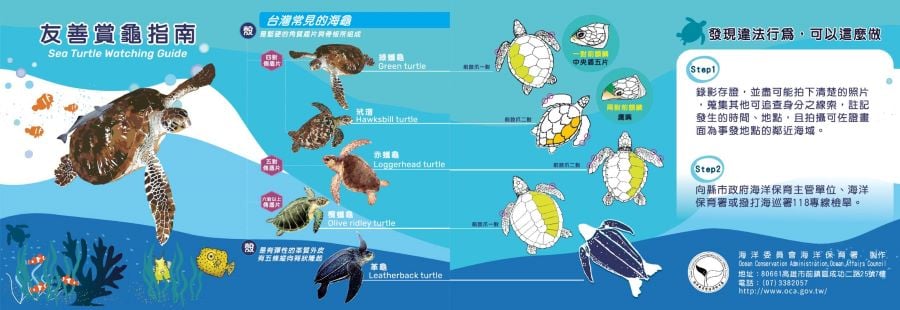 騷擾海洋保育類野生動物為違法行為　海保署：恪遵「5不原則」以免觸法受罰