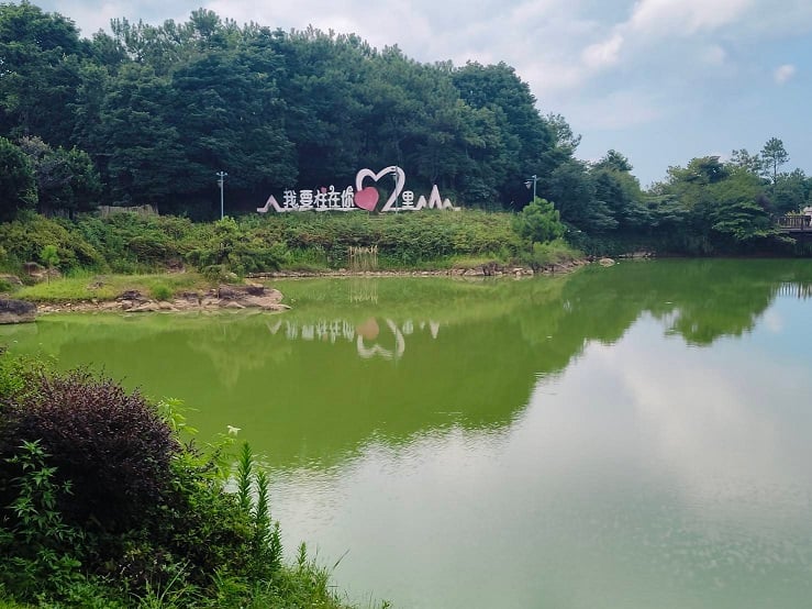 ▲漫步福州鼓嶺柱里景區,沿著山間步道欣賞青翠林木與自然景致,清風拂面,讓人遠離城市喧囂,享受盛夏難得的清幽時光。