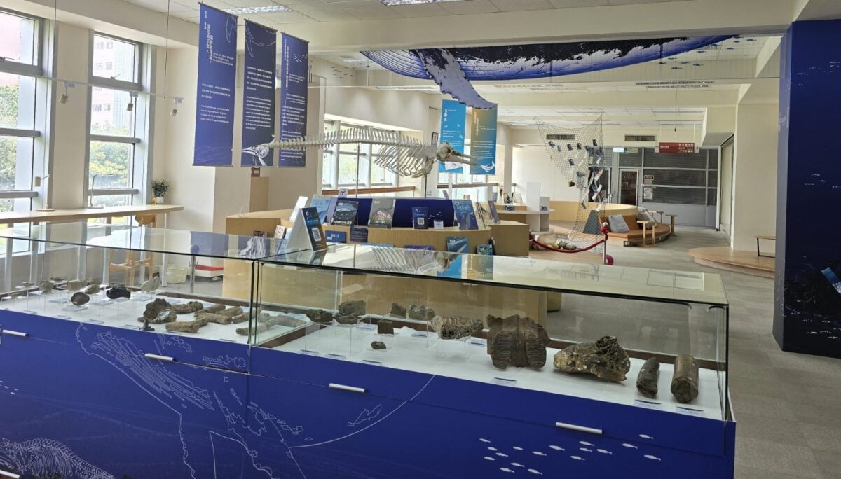 首度將科博館展覽搬進大學圖書館「鯨掘・骨語」特展在中興大學登場