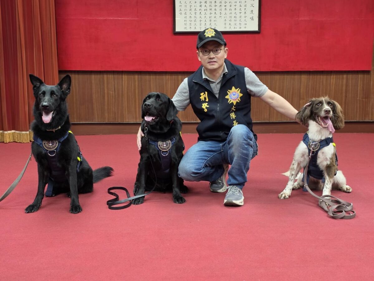 孩子嗨翻了！高雄刑大「反詐泡泡總動員」　緝毒警犬成全場焦點