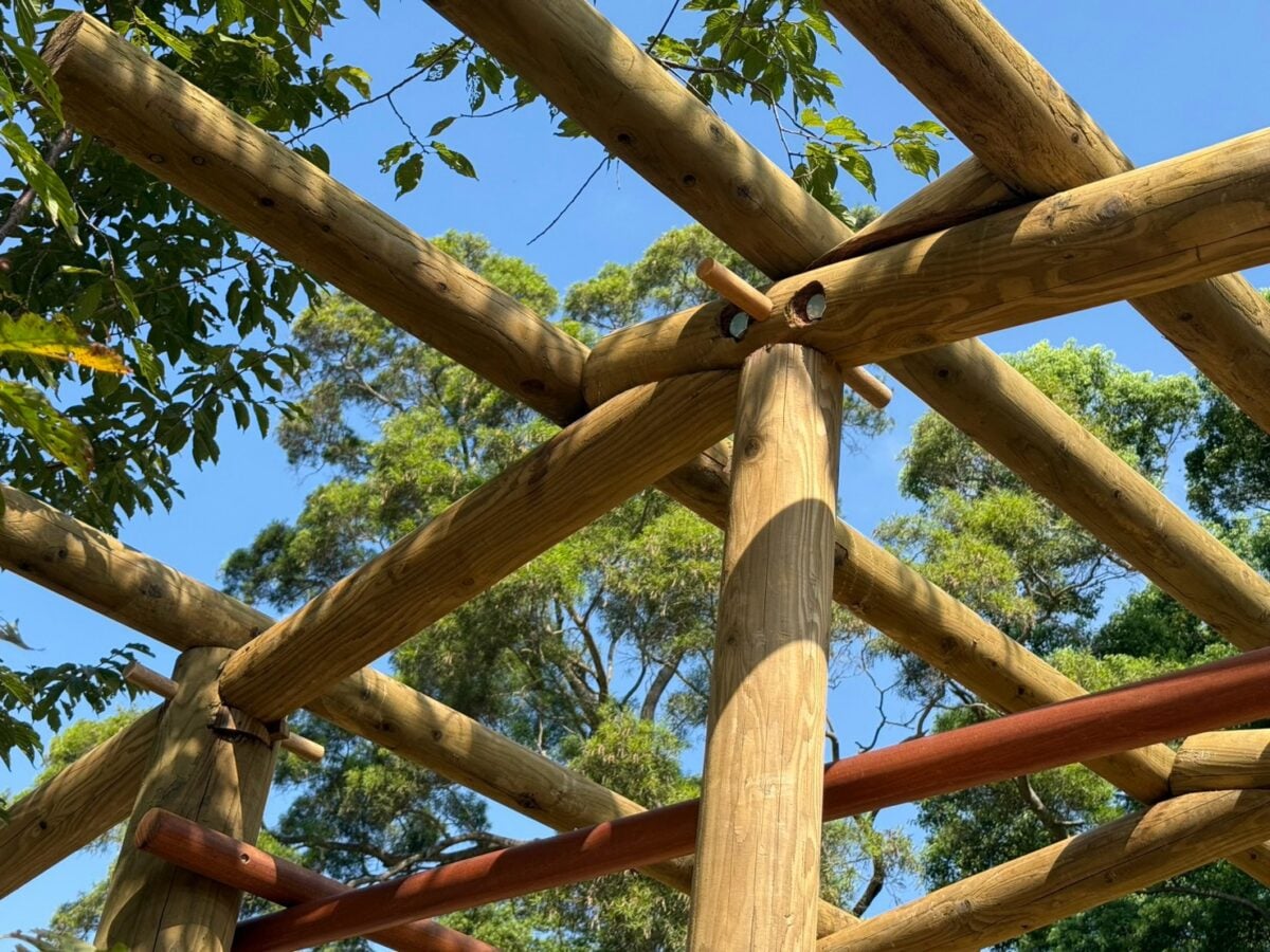一樑承祖訓、一杵傳文化　桃園復興泰雅傳統家屋圓滿上樑